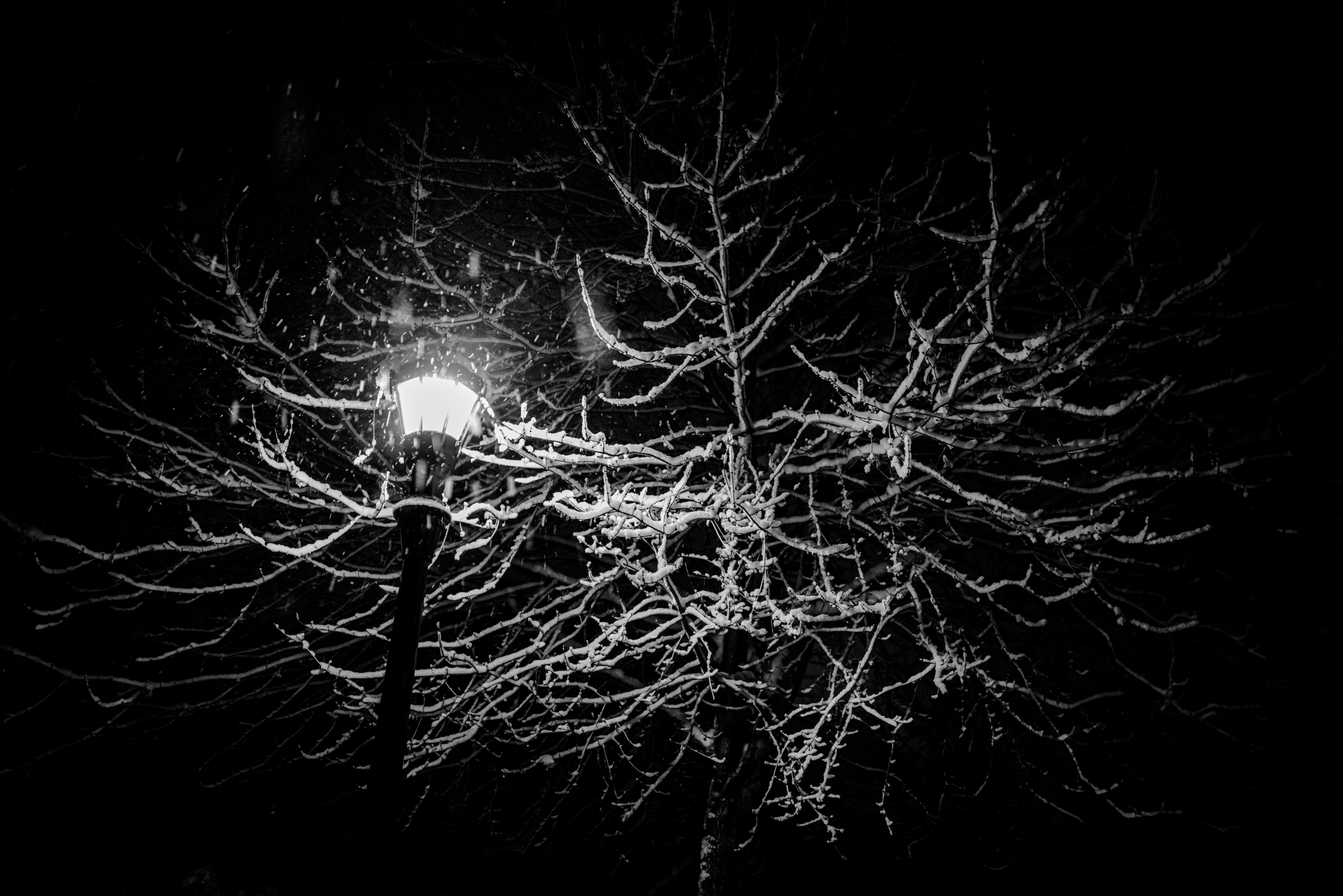 Saint Paul Snow at Night